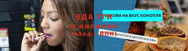 стаф Верея