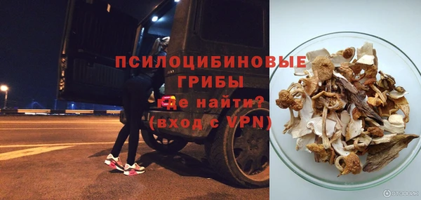 PSILOCYBIN Верхнеуральск