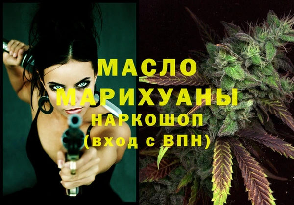 молекула духа Волоколамск