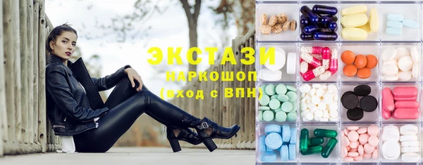 стаф Верея