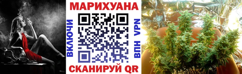 Бошки марихуана сатива  ссылка на мегу рабочий сайт  Волоколамск 